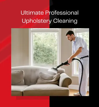 Professional Upholstery Cleaning